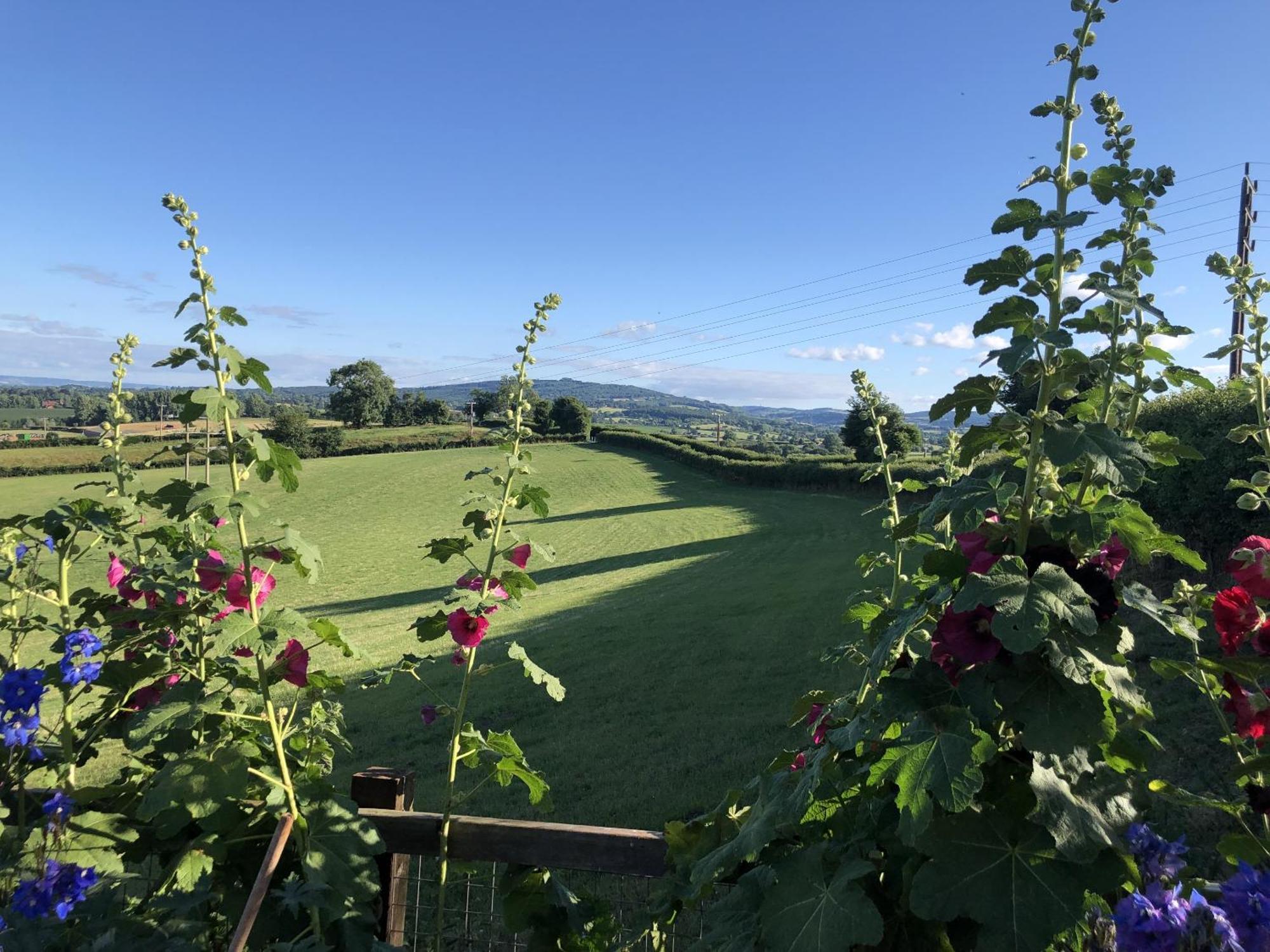 Betula Views Studio Ньюент Экстерьер фото